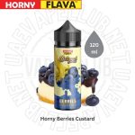 Buy Horny Flava Best Berries Custard Series 120ml Now In Uae.jpg