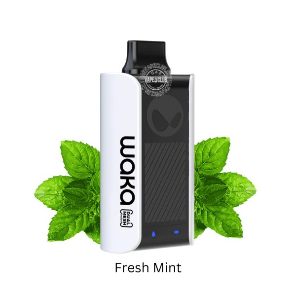 Waka Disposable Vape 1000 Puffs