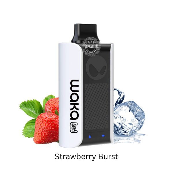 Waka Disposable Vape 1000 Puffs