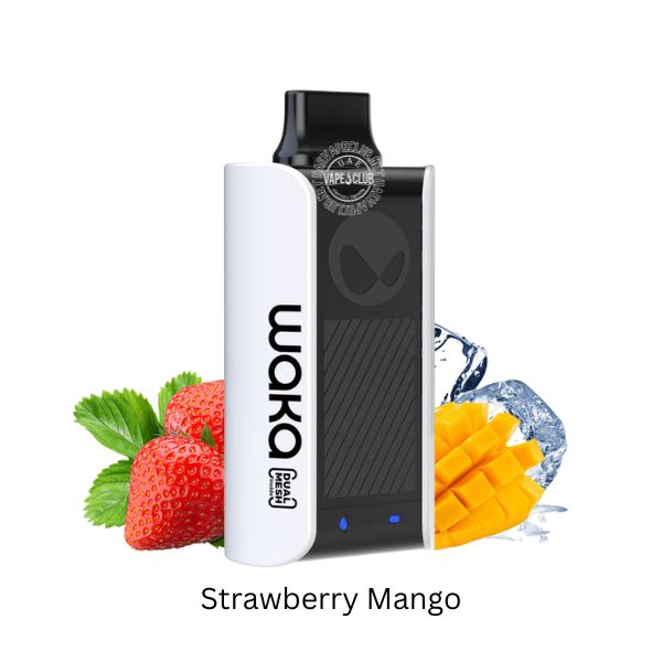 Waka Disposable Vape 1000 Puffs