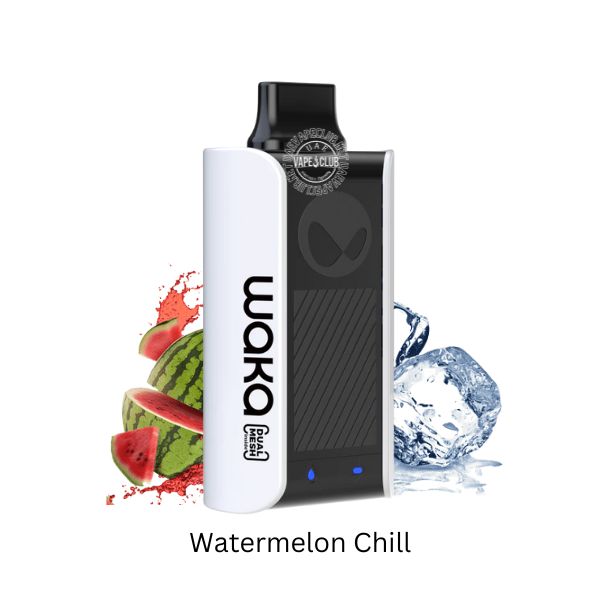 Waka Disposable Vape 1000 Puffs