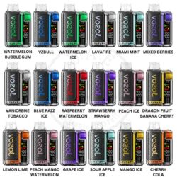 Vozol Vista 20000 Puffs Disposable Vape.jpg