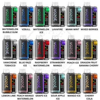 Vozol Vista 20000 Puffs Disposable Vape.jpg