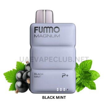 BEST FUMMO 8000 PUFFS DISPOSABLE VAPE