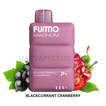 BEST FUMMO 8000 PUFFS DISPOSABLE VAPE
