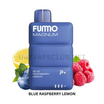 BEST FUMMO 8000 PUFFS DISPOSABLE VAPE
