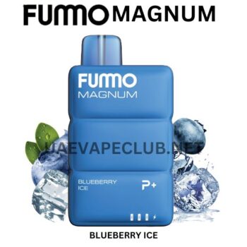 BEST FUMMO 8000 PUFFS DISPOSABLE VAPE