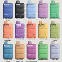 BEST FUMMO 8000 PUFFS DISPOSABLE VAPE