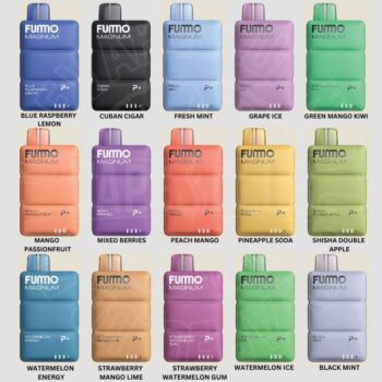 BEST FUMMO 8000 PUFFS DISPOSABLE VAPE