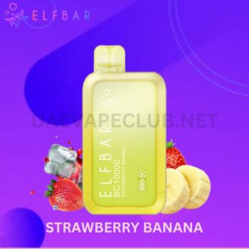 Buy Elfbar Bc10000 Best Disposable Vape 10000 Puffs In Dubai