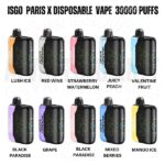 ISGO PARIS X 30000 PUFFS DISPOSABLE VAPE Battery 850mAH Capacity 25ml E-liquid Nicotine Strength 50mg/ml Package Contains 1 X ISGO PARIS X Device Buy Best Online Vape Shop In Dubai Aevapeclub.net