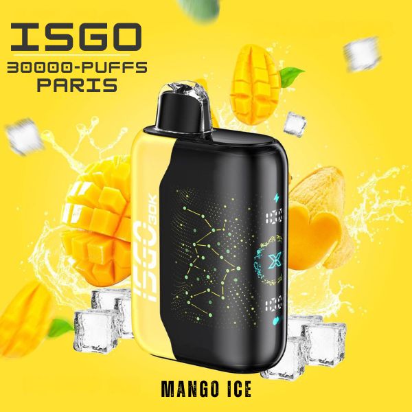 ISGO PARIS X 30000 PUFFS DISPOSABLE VAPE