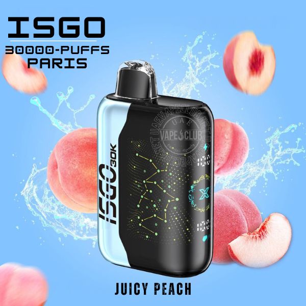 ISGO PARIS X 30000 PUFFS DISPOSABLE VAPE