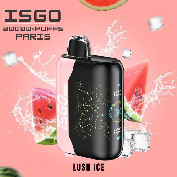 ISGO PARIS X 30000 PUFFS DISPOSABLE VAPE