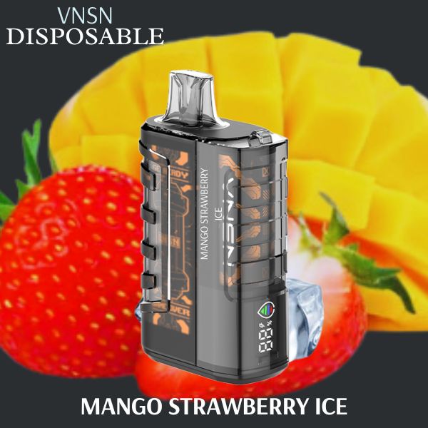 Vnsn Ghost 15000 Puffs Disposable