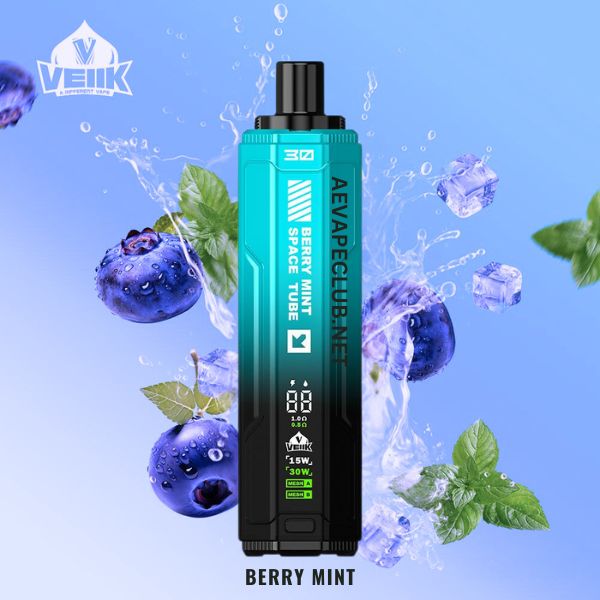 Vellk Space Tube Flavors 20000Puffs Berry Mint