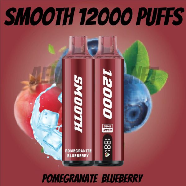 Best Smooth While 12000 Puffs Disposable in Dubai