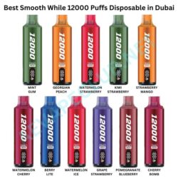 Best Smooth While 12000 Puffs Disposable in Dubai.jpg