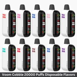 Best Vape Voom Cobble 20000 Puffs Disposable Flavors