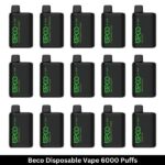 Beco Disposable Vape 6000 Puffs
