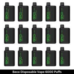 Beco Disposable Vape 6000 Puffs