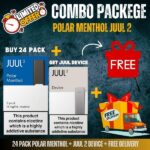 Buy Juul 2 Polar Menthol 24 Pack + Free Juul 2 Device!