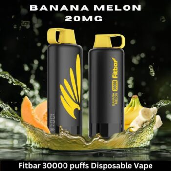 Fitbar 30000 puffs Disposable Vape