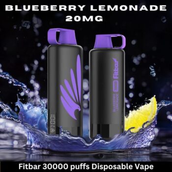 Fitbar 30000 puffs Disposable Vape