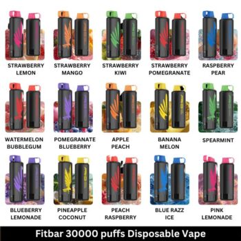Fitbar 30000 puffs Disposable Vape