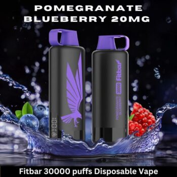 Fitbar 30000 puffs Disposable Vape