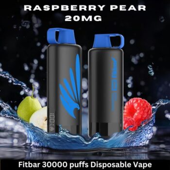 Fitbar 30000 puffs Disposable Vape