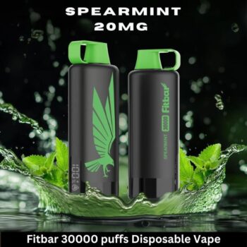 Fitbar 30000 puffs Disposable Vape
