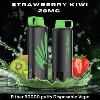 Fitbar 30000 puffs Disposable Vape