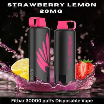 Fitbar 30000 puffs Disposable Vape