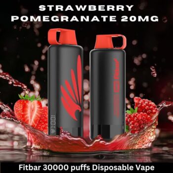 Fitbar 30000 puffs Disposable Vape