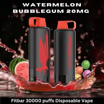 Fitbar 30000 puffs Disposable Vape