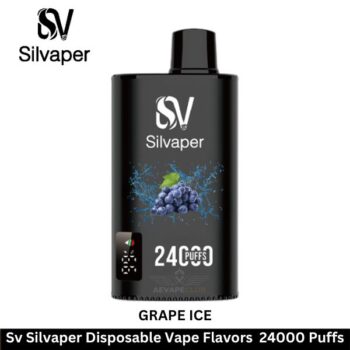 Sv Silvaper Disposable Vape Flavors 24000 Puffs