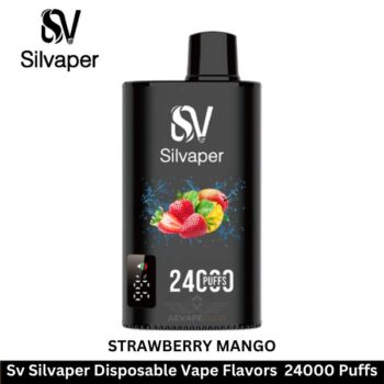 Sv Silvaper Disposable Vape Flavors 24000 Puffs