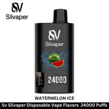 Sv Silvaper Disposable Vape Flavors 24000 Puffs