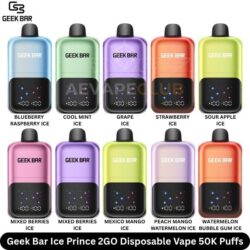 Geek Bar Ice Prince 2GO Disposable Vape 50K Puffs