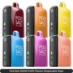 Pod Salt 15000 Puffs Flavors Disposable Vape
