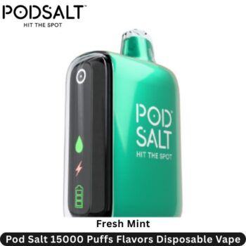 Pod Salt 15000 Puffs Flavors Fresh Mint Disposable Vape