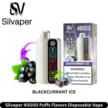 Silvaper 40000 Puffs Blackcurrant Ice Flavors Disposable Vape
