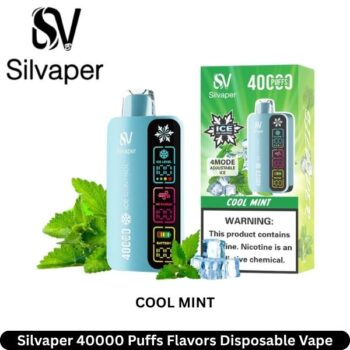 Silvaper 40000 Puffs Cool Mint Flavors Disposable Vape