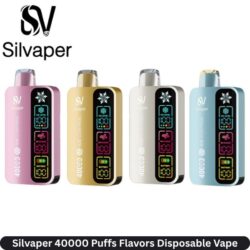 Silvaper 40000 Puffs Flavors Disposable Vape