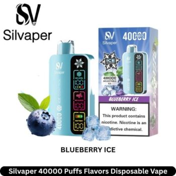 Silvaper Blueberry Ice 40000 Puffs Flavors Disposable Vape