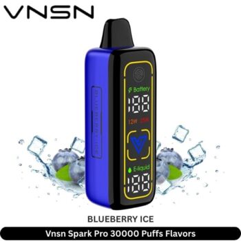 Vnsn Spark Pro 30000 Puffs Blueberry Ice Flavors