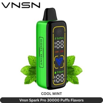 Vnsn Spark Pro 30000 Puffs Cool Mint Flavors