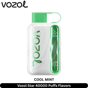 Vozol Star 40000 Puffs Cool Mint Flavors