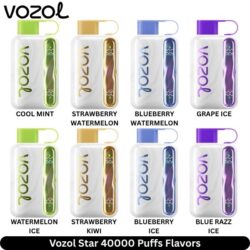 Vozol Star 40000 Puffs Flavors